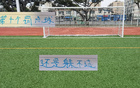 申花教练安排刘诚宇罚点球，第10次未进，无法避免。