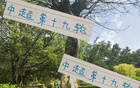 周末申花云南高原赛，阿苏埃能否进第四球？