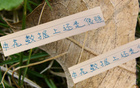 申花领跑榜首，进球数第一，失球倒数第二少，18轮不败！