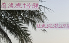 中超两年，海港巴尔加斯与米特谁更胜一筹？