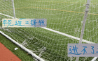 申花外援无进球，国产土炮胜海牛。