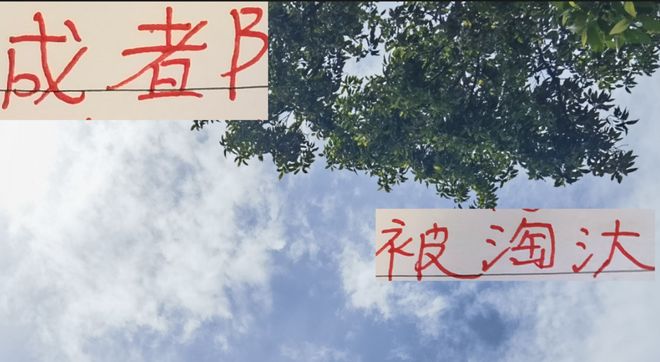 足协杯点球败河南，成都申花路再临挑战？