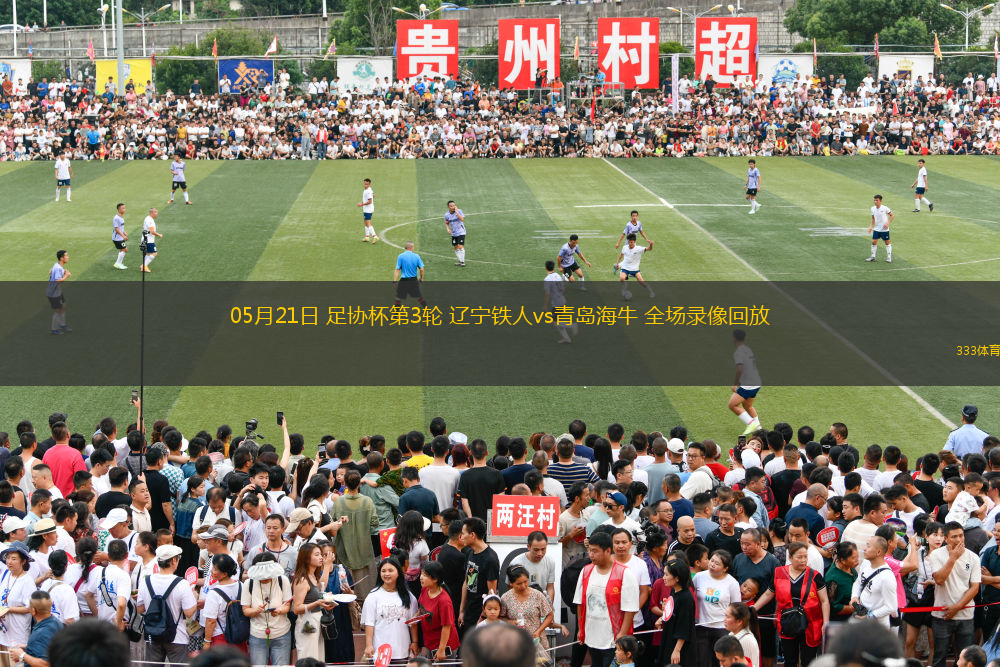 05月21日 足协杯第3轮 辽宁铁人vs青岛海牛 全场录像回放