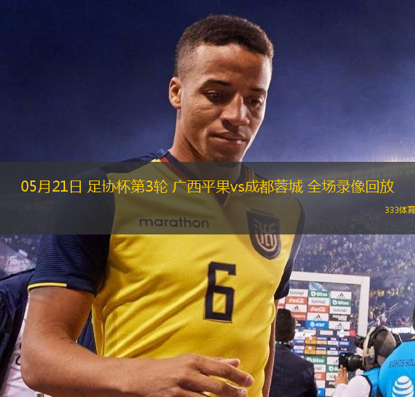 05月21日 足协杯第3轮 广西平果vs成都蓉城 全场录像回放