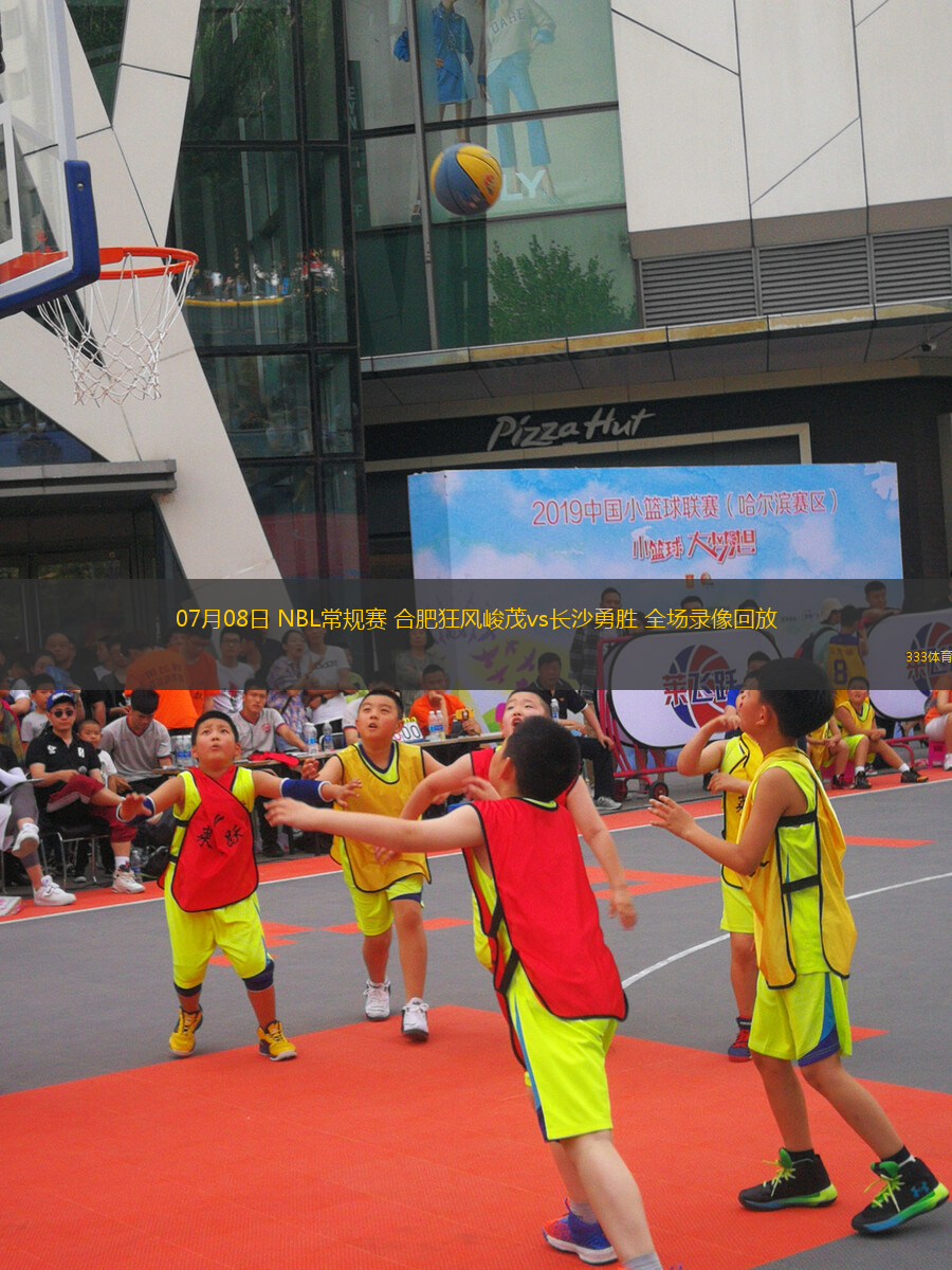 07月08日 NBL常规赛 合肥狂风峻茂vs长沙勇胜 全场录像回放