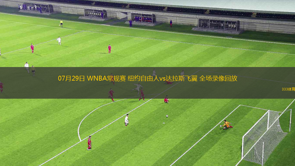 07月29日 WNBA常规赛 纽约自由人vs达拉斯飞翼 全场录像回放