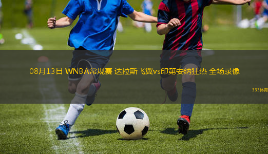 08月13日 WNBA常规赛 达拉斯飞翼vs印第安纳狂热 全场录像