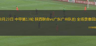 08月23日 中甲第13轮 陕西联合vs广东广州队豹 全场录像回放