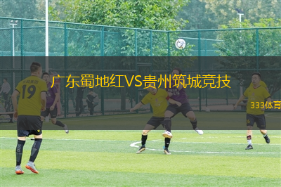 广东蜀地红VS贵州筑城竞技