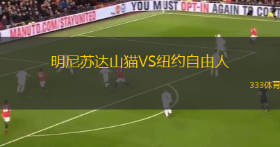 明尼苏达山猫VS纽约自由人