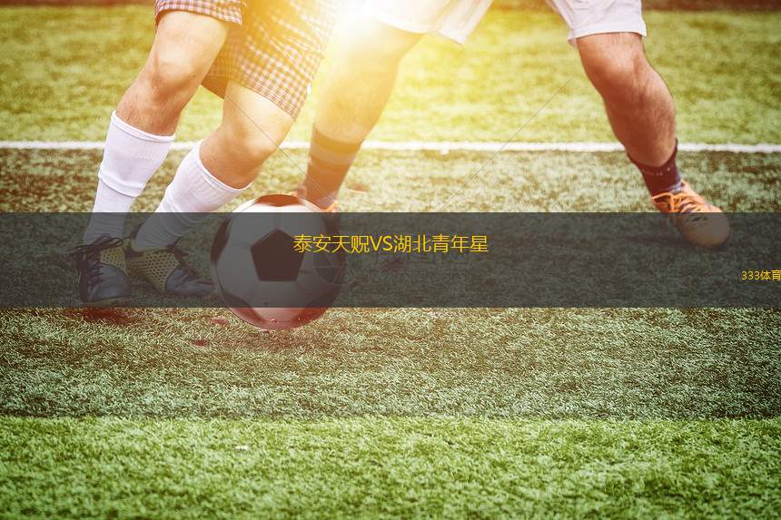 泰安天贶VS湖北青年星