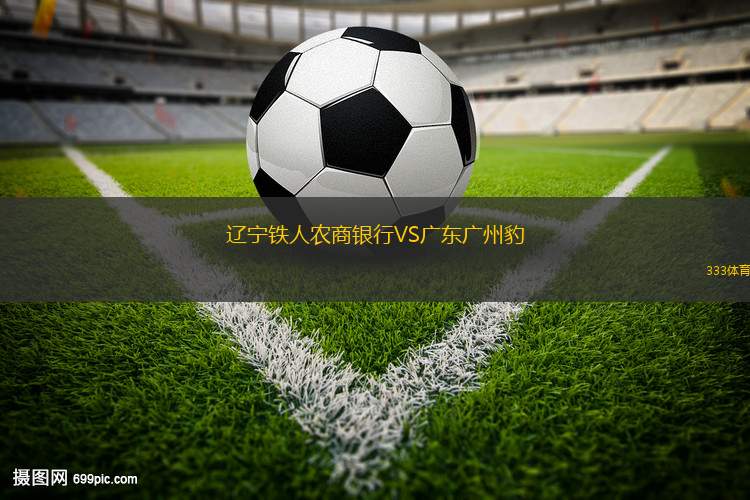 辽宁铁人农商银行VS广东广州豹