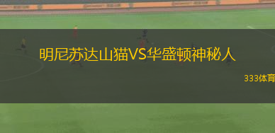 明尼苏达山猫VS华盛顿神秘人