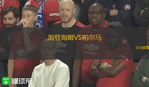 海登海姆VS帕尔马