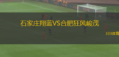 石家庄翔蓝VS合肥狂风峻茂