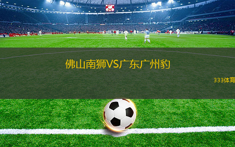 佛山南狮VS广东广州豹