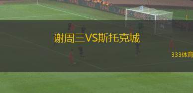 谢周三VS斯托克城
