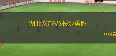 湖北文旅VS长沙勇胜