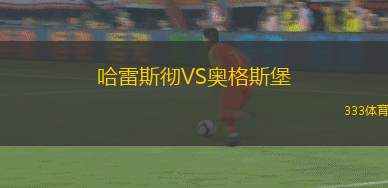 哈雷斯彻VS奥格斯堡
