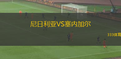 尼日利亚VS塞内加尔
