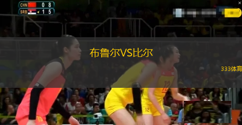 布鲁尔VS比尔