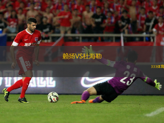赖扬VS杜海勒