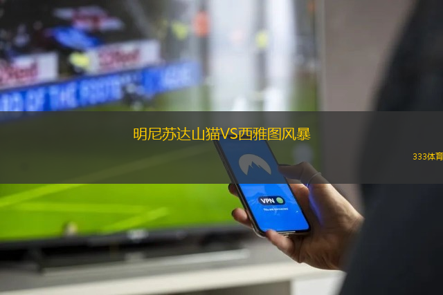 明尼苏达山猫VS西雅图风暴