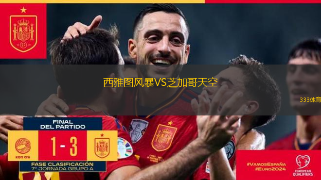 西雅图风暴VS芝加哥天空