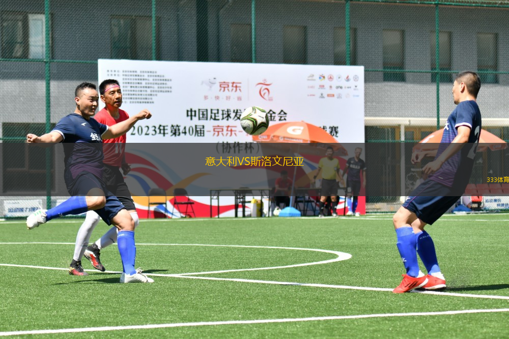 意大利VS斯洛文尼亚