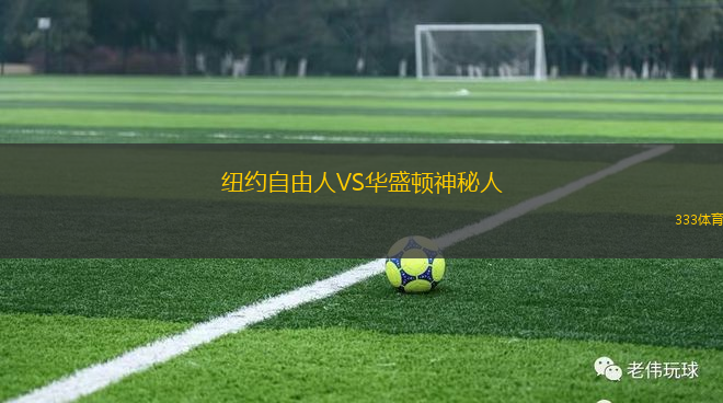 纽约自由人VS华盛顿神秘人