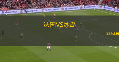 法国VS冰岛