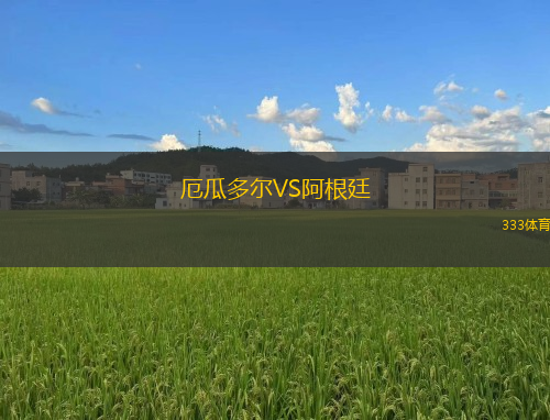 厄瓜多尔VS阿根廷