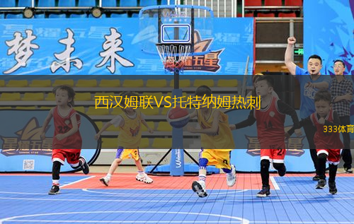 西汉姆联VS托特纳姆热刺