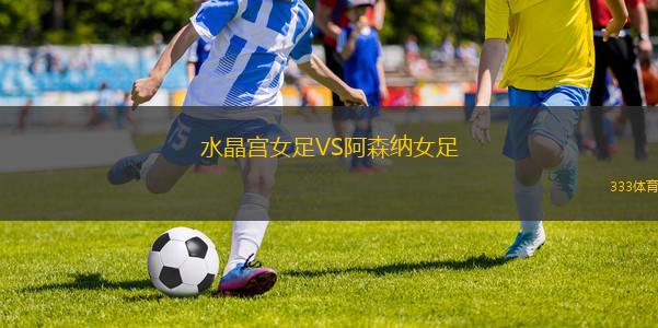 水晶宫女足VS阿森纳女足