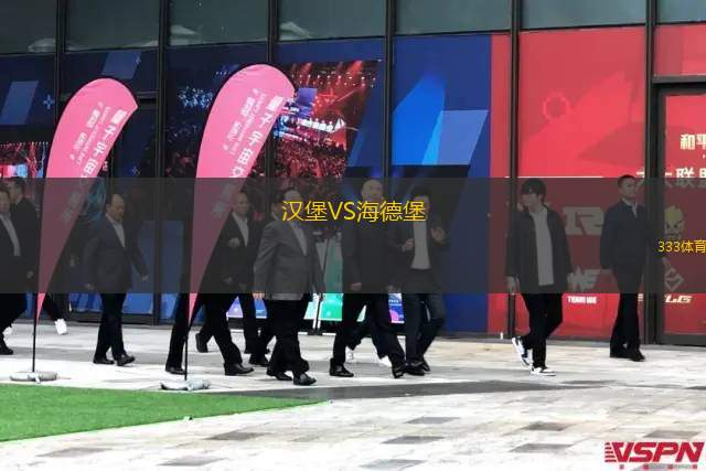 汉堡VS海德堡