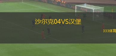 沙尔克04VS汉堡