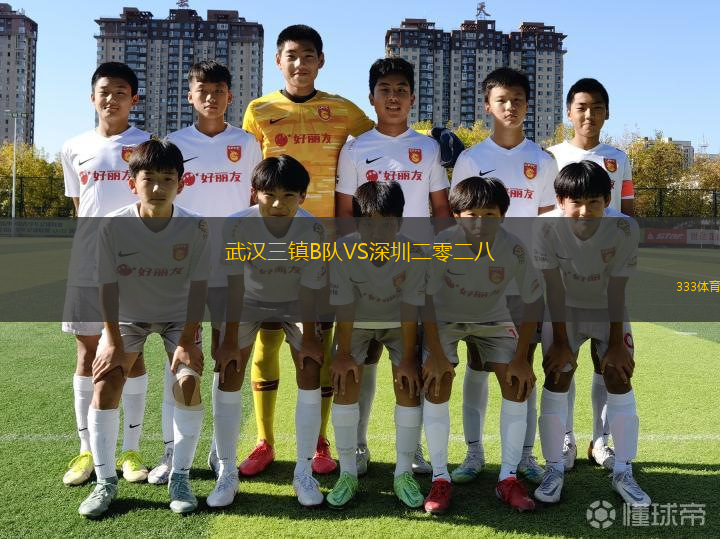武汉三镇B队VS深圳二零二八
