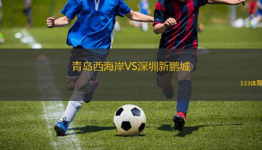 青岛西海岸VS深圳新鹏城