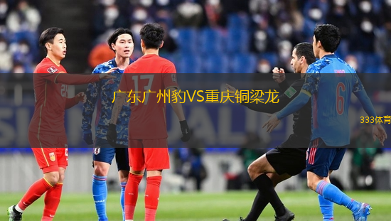 广东广州豹VS重庆铜梁龙