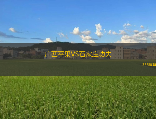 广西平果VS石家庄功夫