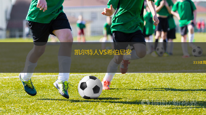 凯尔特人VS希伯尼安