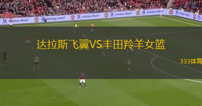 达拉斯飞翼VS丰田羚羊女篮
