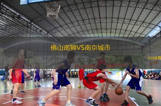 佛山南狮VS南京城市