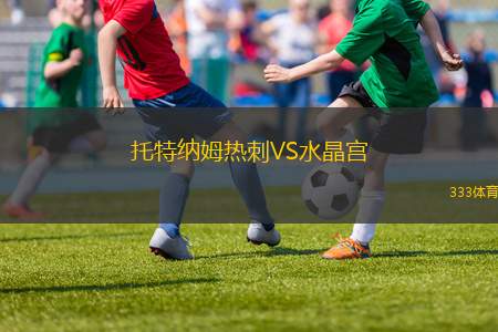托特纳姆热刺VS水晶宫