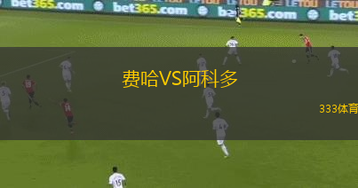 费哈VS阿科多