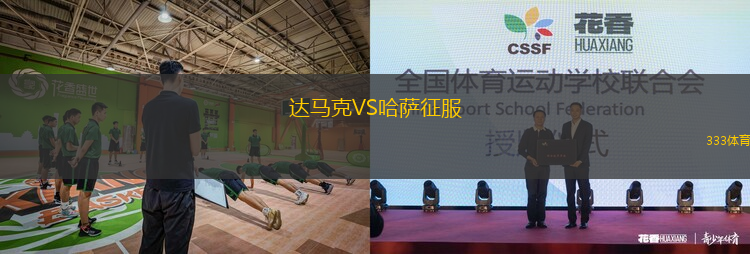 达马克VS哈萨征服