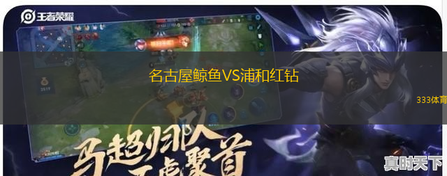 名古屋鲸鱼VS浦和红钻
