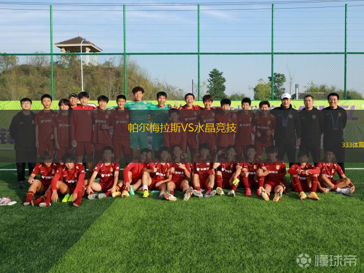 帕尔梅拉斯VS水晶竞技