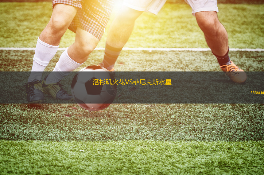 洛杉矶火花VS菲尼克斯水星