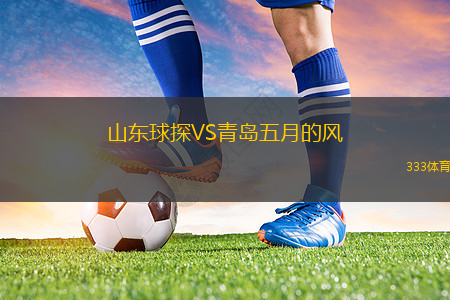 山东球探VS青岛五月的风